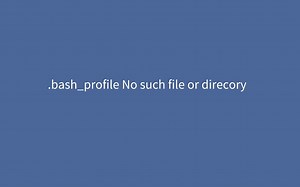 shell提示-sh .bash_profile no such file or directory