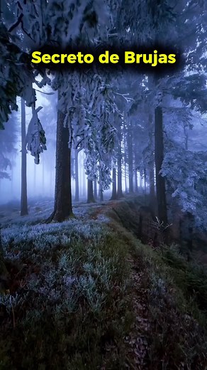 431K views · 8.6K reactions | Secreto de Brujas #witch #witchtok #brujeria #brujasdetiktok #aquelarre #hechizo #magia #magictrick #lunar #intuicion #señalesdeluniverso #ritualesmagicos #bruja #maldeojo #envidia #brujitips #magia | Bruja Lunar | Facebook