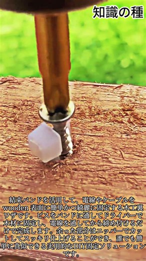 結束バンド1本で決まる配線整理の裏ワザ #DIY #Woodworking #Tools #Construction #Solutions
