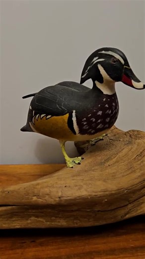 Drake Wood Duck Decoy on Driftwood Base - Vintage 1980 Artist Carved, Painted, Signed, Dated - 5.5"h X 7"w - Everett & Carol Eckstein - Etsy