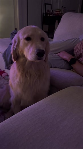 Maggie's Heartwarming Adventures with Her Loving Dads