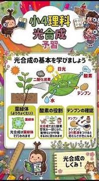 【中学受験】【よく出る！】小学4年生 理科 光合成