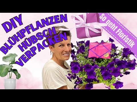 DIY flowering plants beautifully packaged - creative DIY gift idea