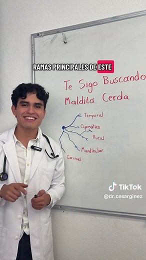 Mnemotecnia del Nervio Facial para Estudiantes de Medicina