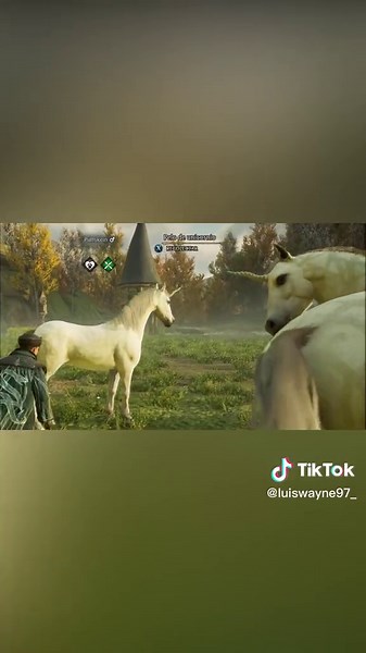 Animales Mágicos en Hogwarts Legacy: ¡Descubre Todos!