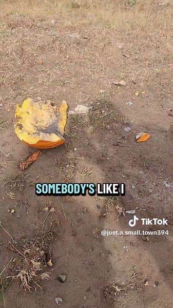 did someone say boom? #tannerite #pumpkin #justasmalltowngirl | tannerite