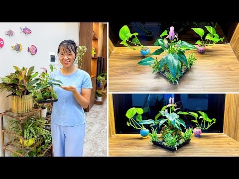 MOSS HACKS to Make Your Home Space UNIQUE and LUSH