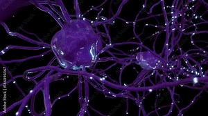 Human neurons with firing synapses. 4K UHD animation. Seamless loop.