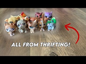 How I find LPS at the THRIFT STORE + HAUL