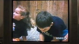 Teletubbies- Flower Festival (US Version)