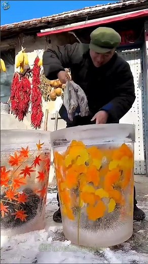 China’s Zero-Electricity Freezer Made From Ice Buckets! 😱🧊 | Winter Survival Hack | #shorts #facts