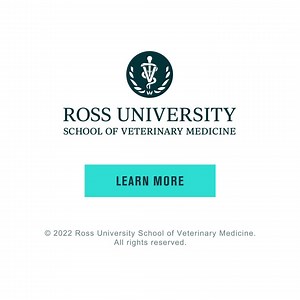 From dream job to reality. Earn your DVM in as few as 3.25 years and embark on your path towards a career in veterinary medicine. | Ross University School of Veterinary Medicine