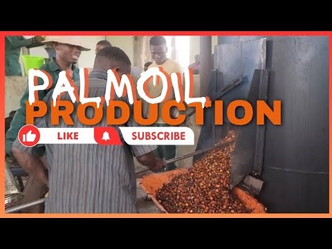 PALM OIL PROCESSING AND PRODUCTION IN NIGERIA