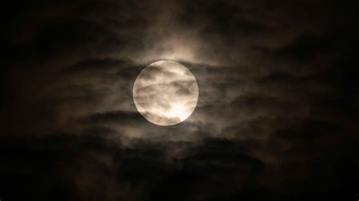 The Chinese Hopping Vampire: What is it, and how is it different than the European vampire?