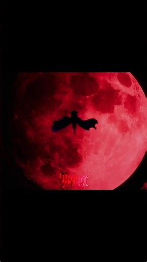 🌑 SHADOW ! 🌑 #eminenceinshadow #animeedit #amv