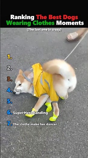 Ranking The BEST Dogs Wearing Clothes 😂🐶 #funnydogs #funny #dogvideos