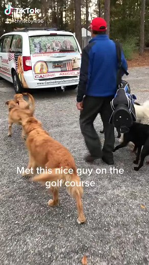 Follow for more cute and funny dogos daily 🐶🐕 . . . #dogs #doglife #doglover #dogstagram #dogoftheday #instagood #nature #doggy #animal #photography #photooftheday #dogslife #cutedog #happydog #adoptdontshop #cachorro #happy #puppylife #cutedogs #hundeliebe #rescuedog #pup #lovedogs #labrador #picoftheday #perro #dogsofinstaworld #pitbull #follow #like . | Funnydogreels