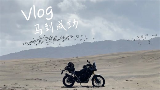 马年春节特辑-干货满满回馈家人insta360 flow 2 pro和摩托的结合