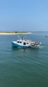 23K views · 166 reactions | Check out all the action down by the Chatham Fish Pier! Our pier hosts are available to share their knowledge from the observation deck 10 a.m. – 1 p.m. on Wednesdays through Fridays all summer long! | Cape Cod Commercial Fishermen's Alliance | Facebook