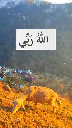 Beautiful scenery 🥰 | Kashmir Valley