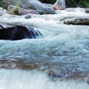 76K views · 611 reactions | Ayurveda tells us to think of our body as a fresh, flowing river of water. Provide it ample hydration and it optimizes the flow of all body systems. This philosophy of hydration is also the premise of our new product. | Forest Essentials | Facebook