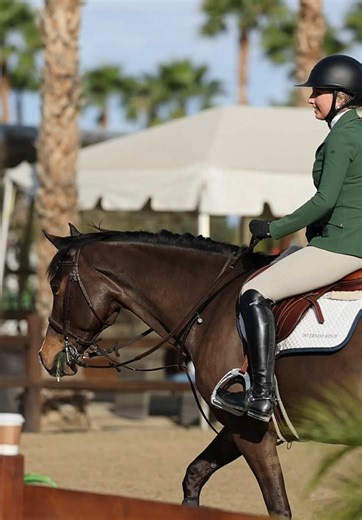 Violet clear and perfect for 6th in the meters on Friday 💗 #fyp #equestrian #horse #thermal #jumper @Annie MacAller Photography