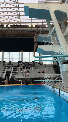 3m Senior diving