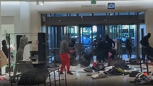San Francisco's downtown economy devastated by crime