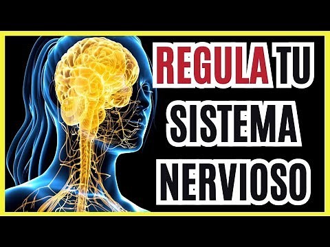 ⚡EL MEJOR ejercicio para REGULAR tu SISTEMA NERVIOSO 🧠 solo tardarás 3 MINUTOS en hacerlo⚡