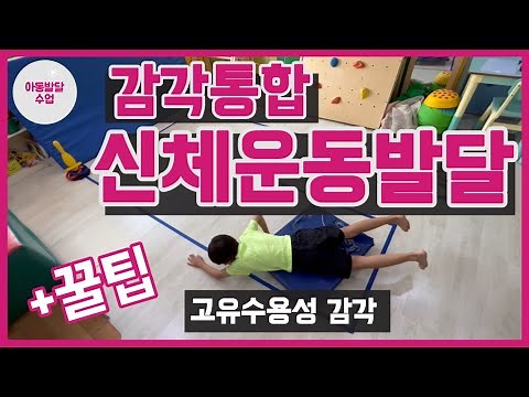 Sensory Integration Physical Exercise Development + Tips (Proprioception)