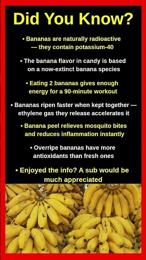 Shocking Facts About Bananas You Never Knew 🍌😱