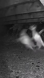 9.5K views · 253 reactions | Are you ready to take the plunge into...