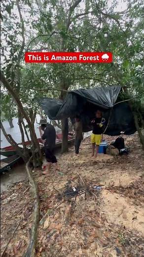 This is Amazon Forest