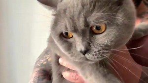 @Evgeny Filatov | A to Z of Bodybuilders Strongmen and Fitness Models