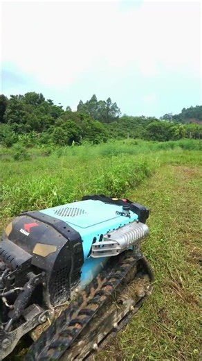 Wild Grass No Match for This Beast Mower! 💥🔥