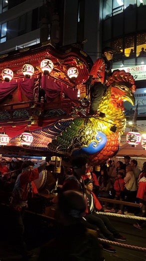 本庄楓🍌女性ホルモン博士 on Instagram: "佐賀県唐津市 秋季例大祭 無形文化遺産 【唐津くんち】 今年も母と唐津くんちにいけました✨ やっぱり1宵山は綺麗✴️💫 おすすめは毎年11月2日の宵山です❇️ 惜しは２番山 中町 青獅子 #唐津くんち #祭り #秋季例大祭 #無形文化遺産 #青獅子#中町"