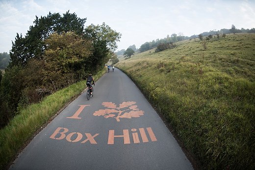 Cycling Box Hill: How to tackle the climb