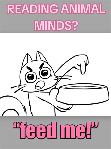 Which one would you pick?