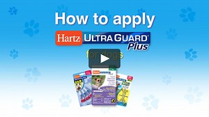 Hartz UltraGuard Flea & Tick Drops for Dogs - Hartz® UltraGuard Plus® Topical Flea and Tick Prevention for Dogs and Puppies