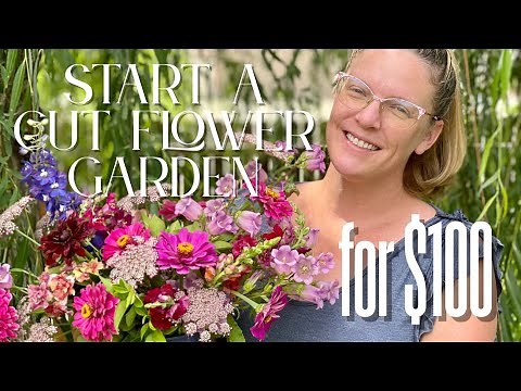 🌸 How To Start A Cut Flower Garden with Just $100 | 4 Steps to Maximize Blooms on a Budget!
