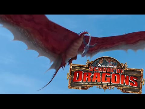 School of Dragons: Dragons 101 - The Typhoomerang