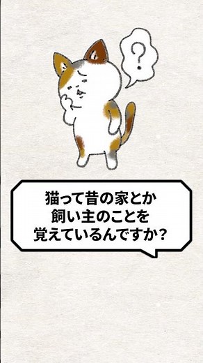 Q：猫は昔の家や飼い主のこと覚えてるの？ #猫 #猫のいる暮らし #ねこ