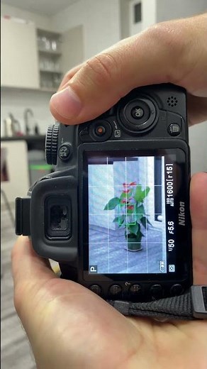 Nikon D3100 auto focus test (liveview mode)