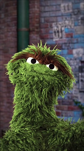 TikTok, please send fewer pets and more garbage videos to Oscar the Grouch! #OscartheGrouch #PetTok #SesameStreet