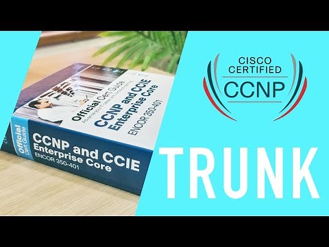 How To Understand 'Show Interface Trunk' Configuration