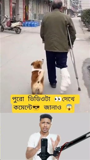 Video Comments: A Case Study