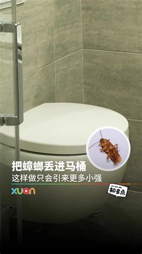 ASTRO XUAN on Instagram: "和这些不速之客们 say good bye! #XUAN #蟑螂 #crockroach #crockroaches #小强"