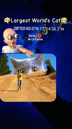 Largest World's Cat In Google Earth #shorts