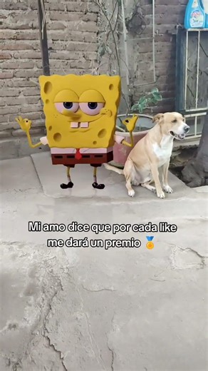 Mi amo me dará un premio por cada like 🏅🐕#perros #mascotas #doglove #shorts #fypviralシ #paratii