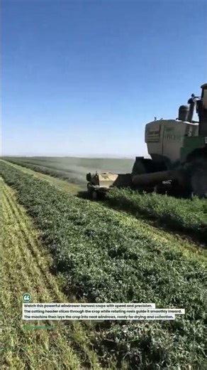 Fast Crop Cutting with Windrower Machine | #Farming #Agriculture #Harvest